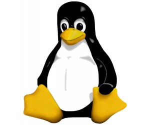 linux windows unix