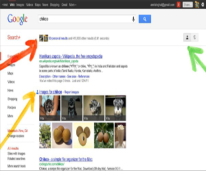 Google+  búsquedas sociales 